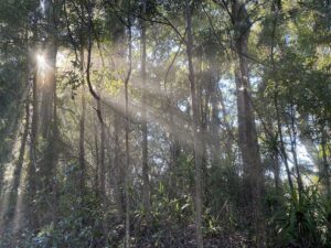 Bigscrub Salvage — Scrap Metal Recycling in North Lismore, NSW in North Lismore