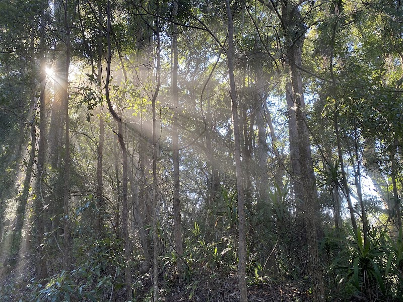 Bigscrub Salvage — Scrap Metal Recycling in North Lismore, NSW — scrap metal recycling in North Lismore, NSW