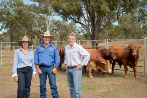 Metalcorp Bundaberg — Scrap Metal Recycling in Thabeban, QLD in Thabeban